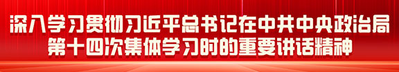 深入學習貫徹刀近平總書記在中共中央政治局第十四次集體學習時的重要講話精神